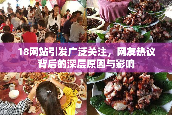 18网站引发广泛关注，网友热议背后的深层原因与影响