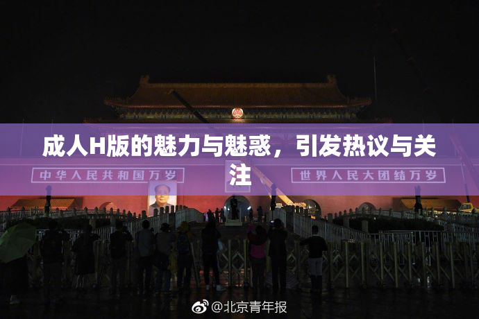 成人H版的魅力与魅惑，引发热议与关注