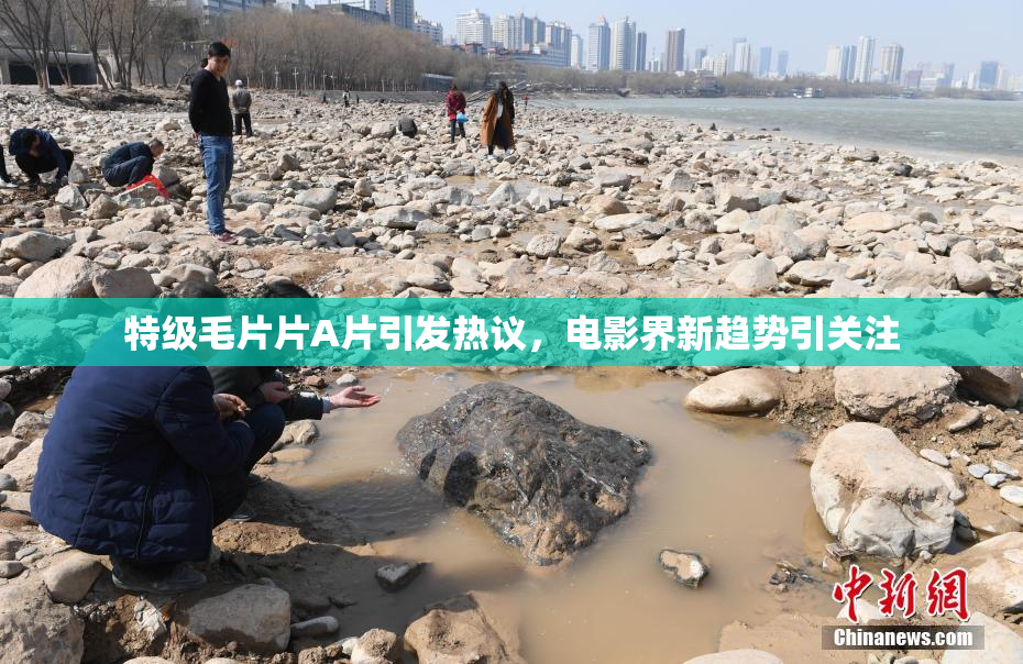 特级毛片片A片引发热议，电影界新趋势引关注