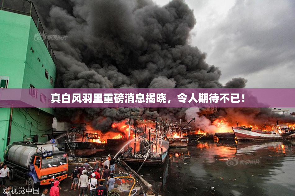 真白风羽里重磅消息揭晓，令人期待不已！