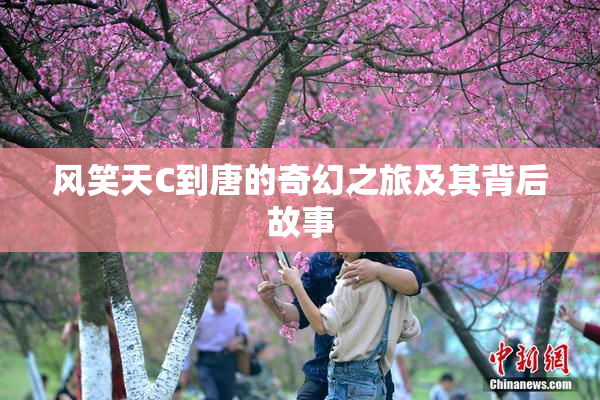 风笑天C到唐的奇幻之旅及其背后故事