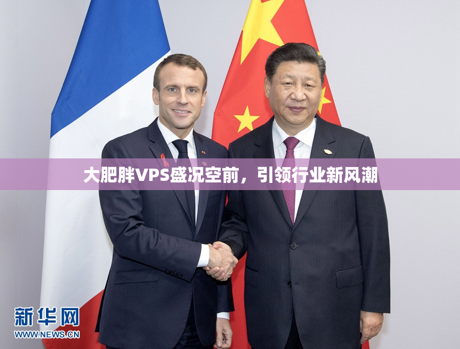 大肥胖VPS盛况空前，引领行业新风潮