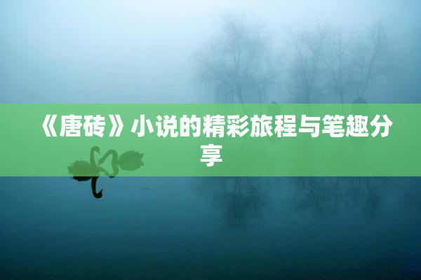 《唐砖》小说的精彩旅程与笔趣分享
