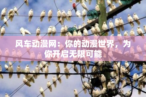 风车动漫网：你的动漫世界，为你开启无限可能