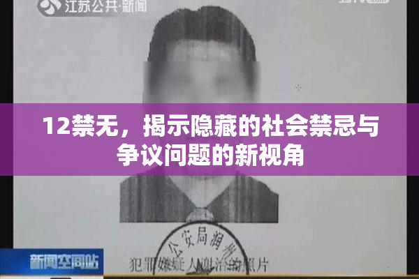 12禁无，揭示隐藏的社会禁忌与争议问题的新视角