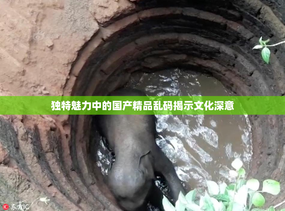 独特魅力中的国产精品乱码揭示文化深意