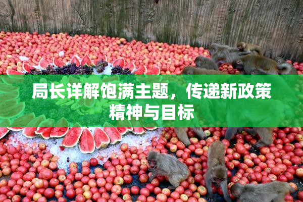 局长详解饱满主题，传递新政策精神与目标