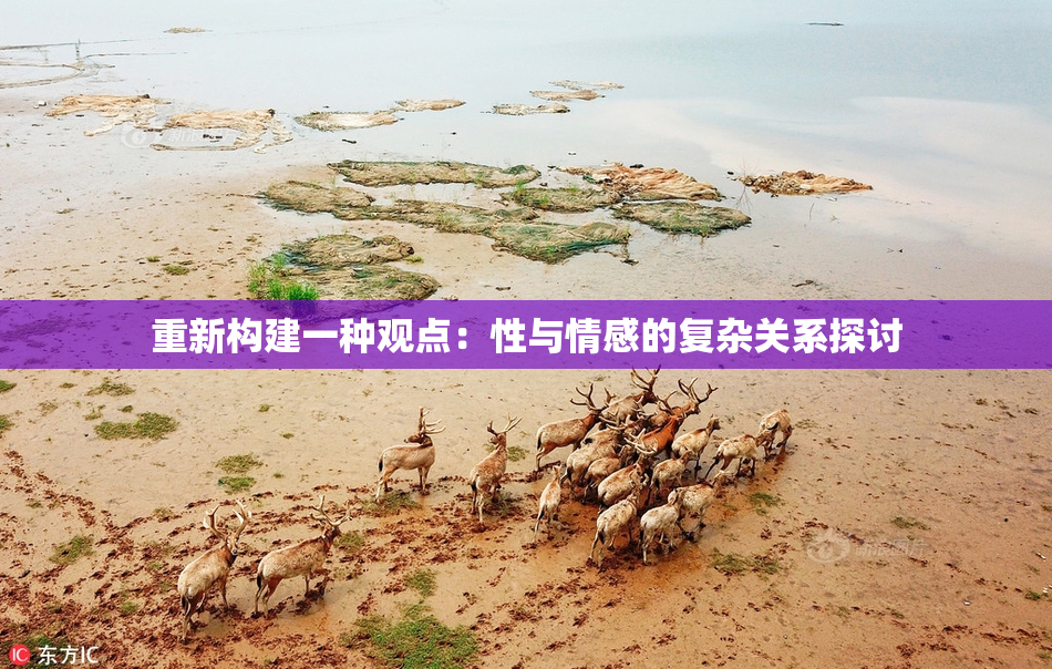 重新构建一种观点：性与情感的复杂关系探讨