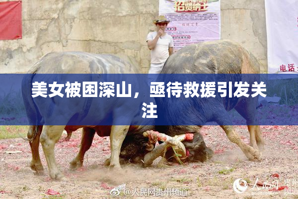美女被困深山，亟待救援引发关注