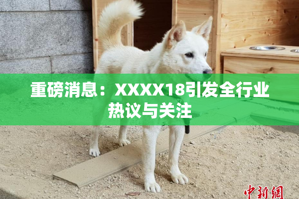重磅消息：XXXX18引发全行业热议与关注
