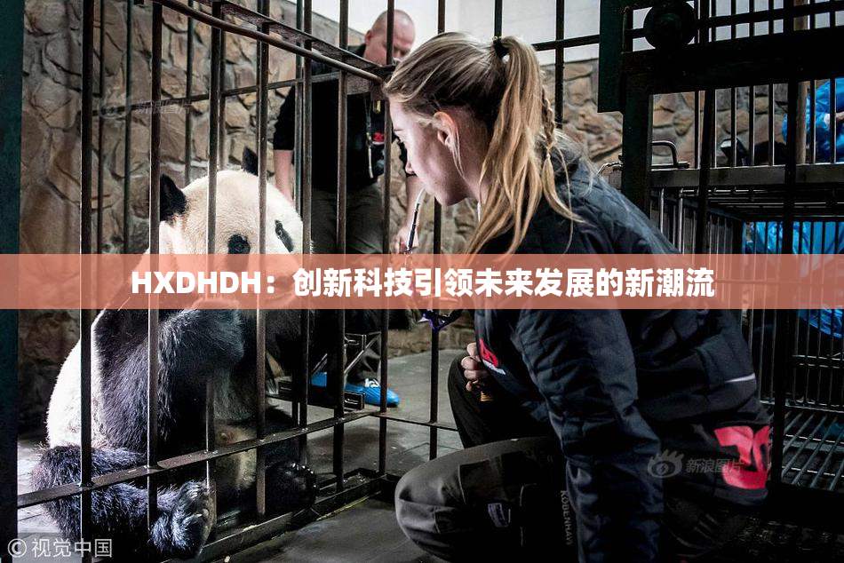HXDHDH：创新科技引领未来发展的新潮流