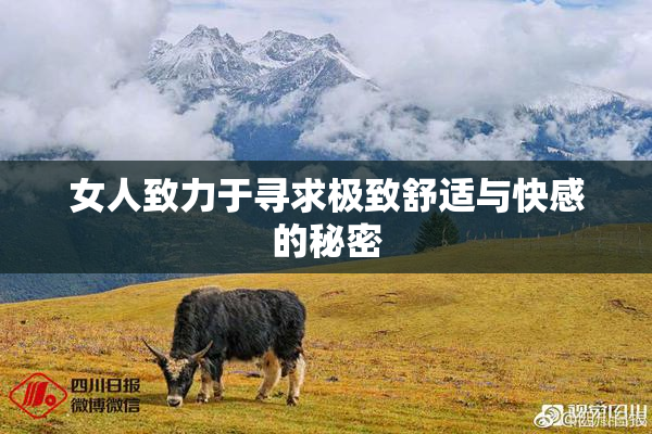 女人致力于寻求极致舒适与快感的秘密