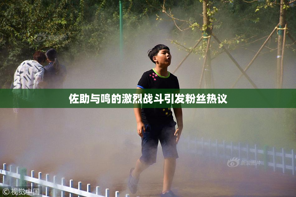 佐助与鸣的激烈战斗引发粉丝热议