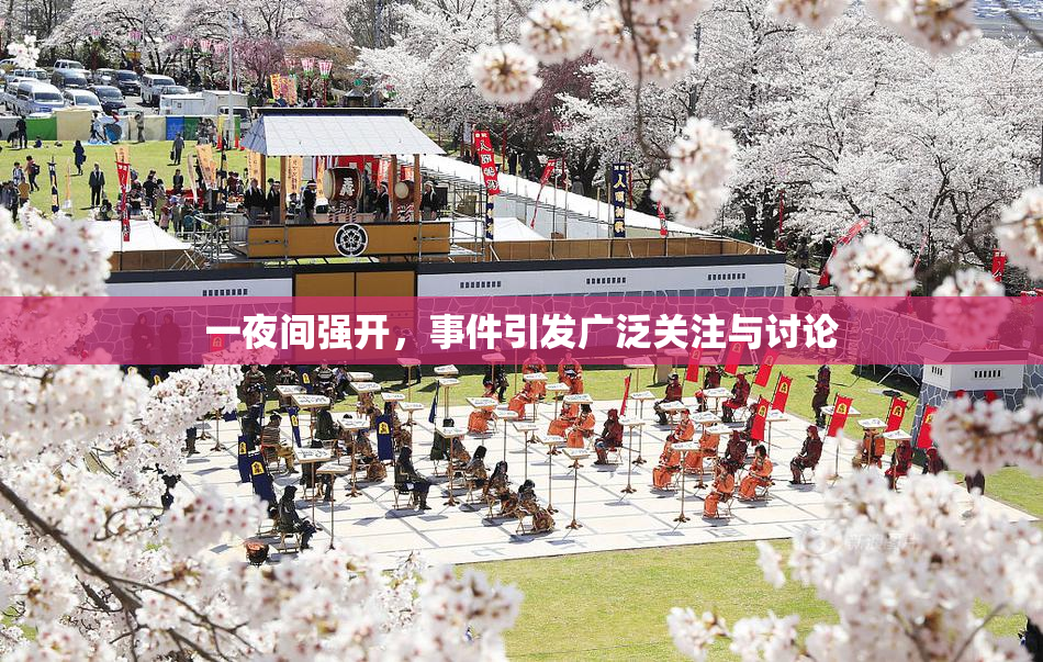 一夜间强开，事件引发广泛关注与讨论