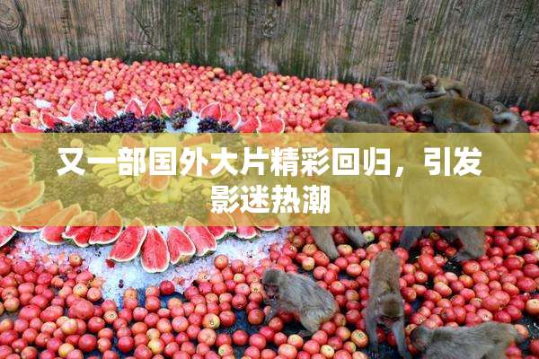 又一部国外大片精彩回归，引发影迷热潮