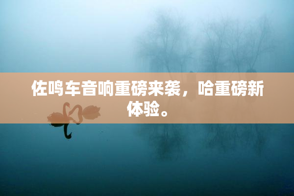 佐鸣车音响重磅来袭，哈重磅新体验。
