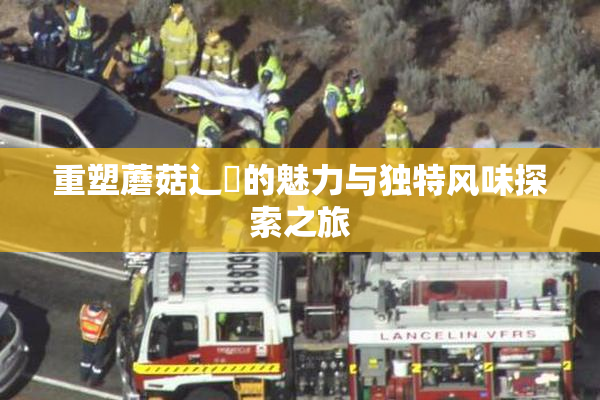 重塑蘑菇辶喿的魅力与独特风味探索之旅