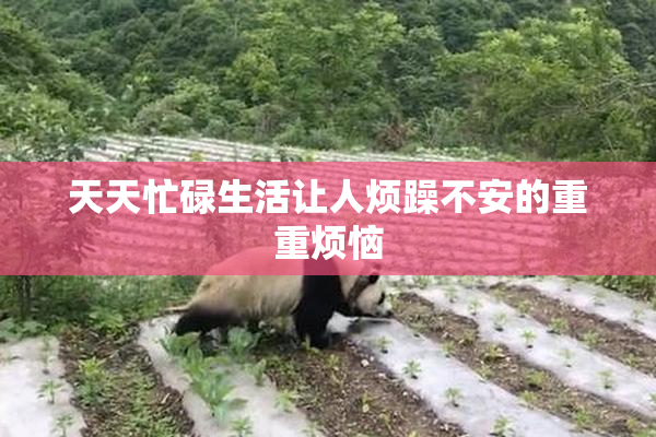 天天忙碌生活让人烦躁不安的重重烦恼