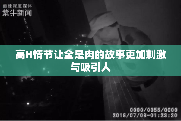 高H情节让全是肉的故事更加刺激与吸引人