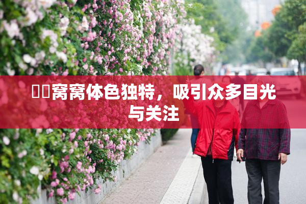 妺妺窝窝体色独特，吸引众多目光与关注