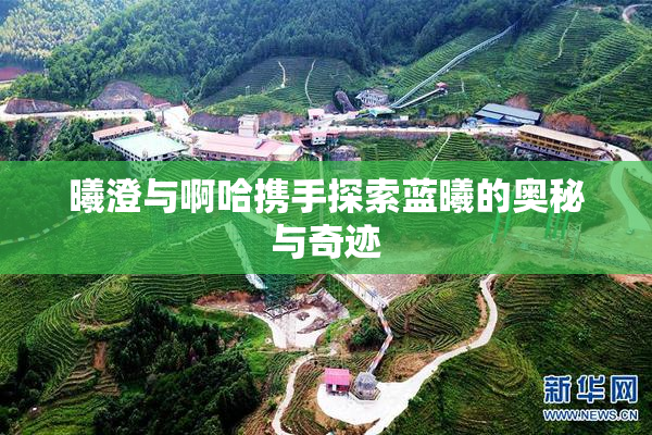 曦澄与啊哈携手探索蓝曦的奥秘与奇迹