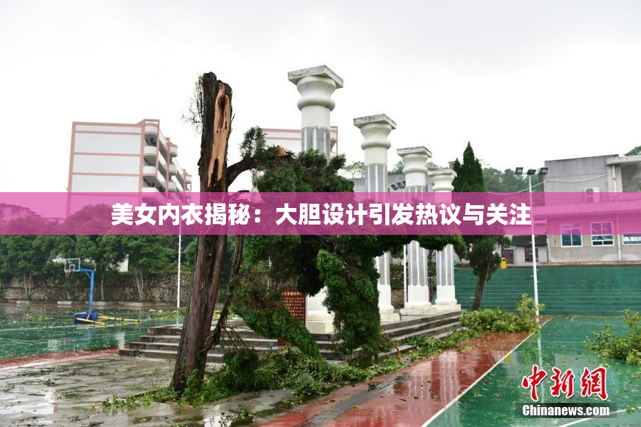 美女内衣揭秘：大胆设计引发热议与关注
