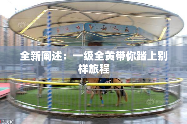 全新阐述：一级全黄带你踏上别样旅程