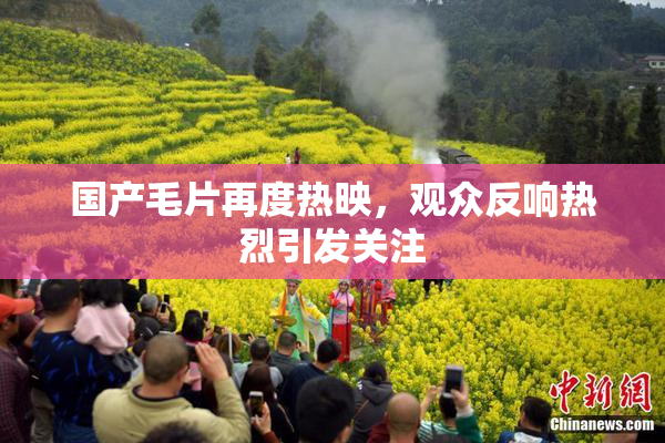 国产毛片再度热映，观众反响热烈引发关注