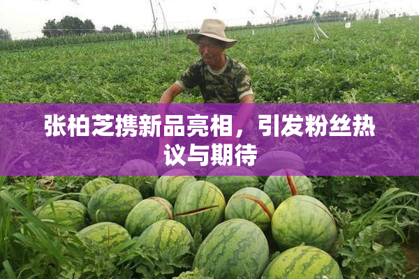 张柏芝携新品亮相，引发粉丝热议与期待