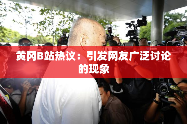 黄冈B站热议：引发网友广泛讨论的现象