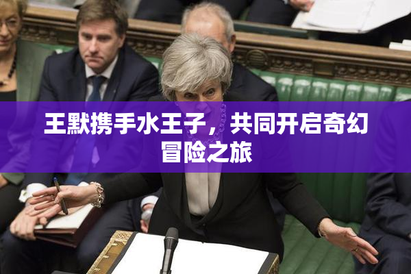 王默携手水王子，共同开启奇幻冒险之旅