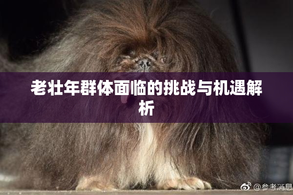 老壮年群体面临的挑战与机遇解析