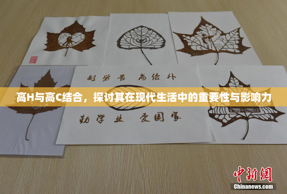 高H与高C结合，探讨其在现代生活中的重要性与影响力