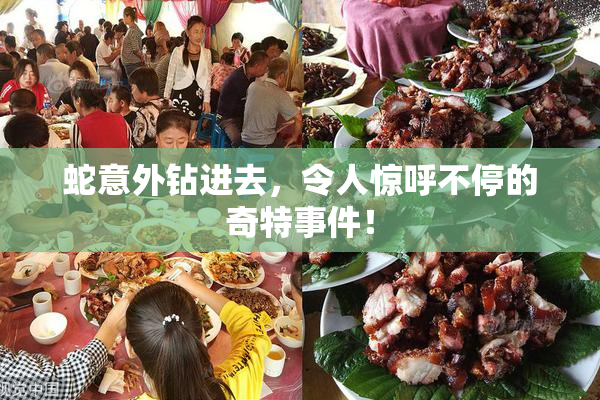 蛇意外钻进去，令人惊呼不停的奇特事件！