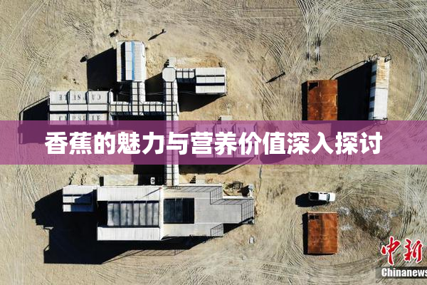 香蕉的魅力与营养价值深入探讨