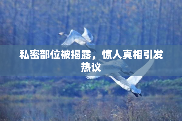 私密部位被揭露，惊人真相引发热议