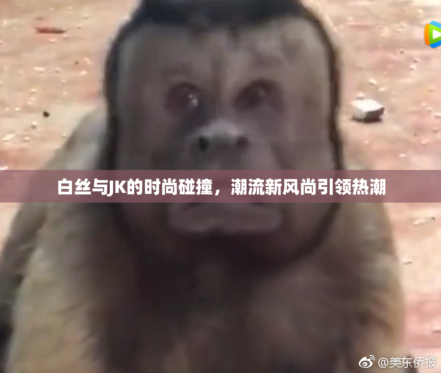 白丝与JK的时尚碰撞，潮流新风尚引领热潮