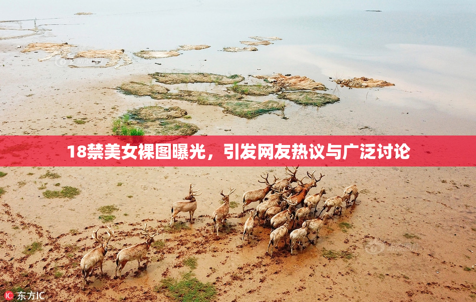 18禁美女裸图曝光，引发网友热议与广泛讨论