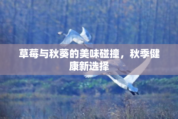 草莓与秋葵的美味碰撞，秋季健康新选择