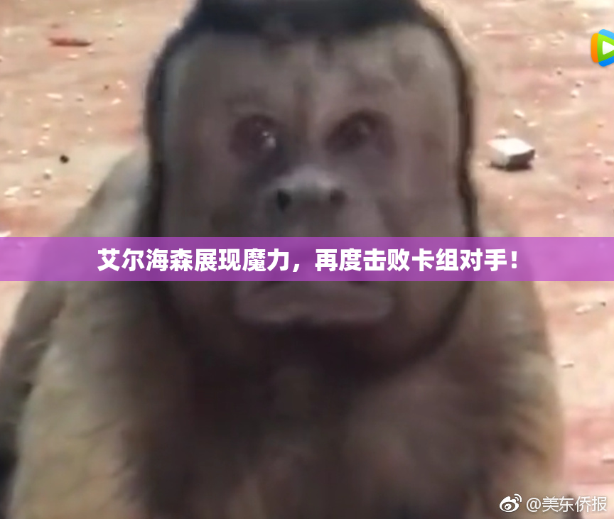 艾尔海森展现魔力，再度击败卡组对手！