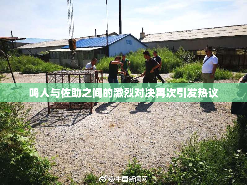 鸣人与佐助之间的激烈对决再次引发热议