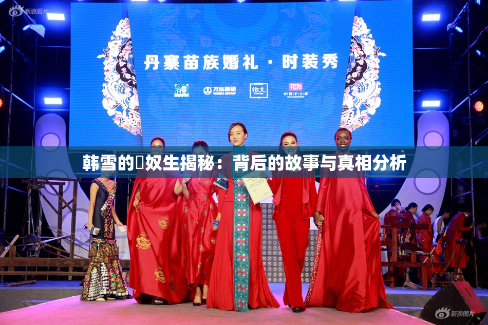 韩雪的婬奴生揭秘：背后的故事与真相分析