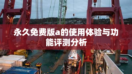 永久免费版a的使用体验与功能评测分析