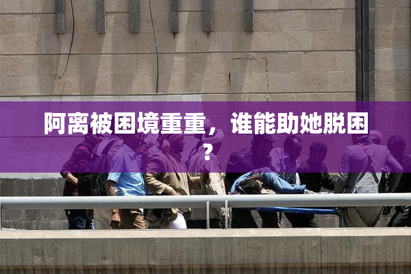 阿离被困境重重，谁能助她脱困？