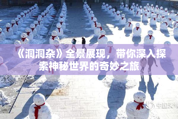 《洞洞杂》全景展现，带你深入探索神秘世界的奇妙之旅