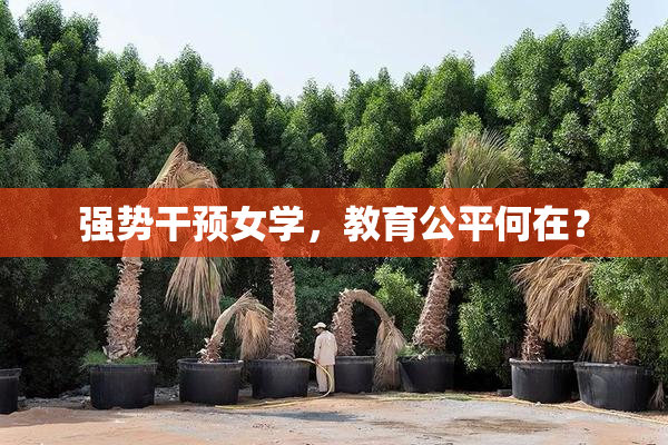 强势干预女学，教育公平何在？