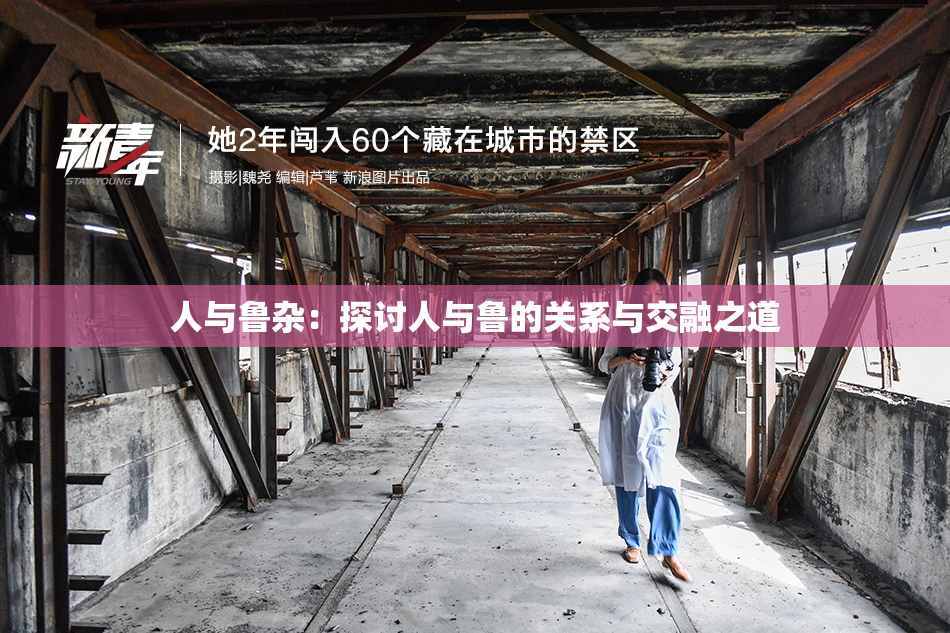 人与鲁杂：探讨人与鲁的关系与交融之道