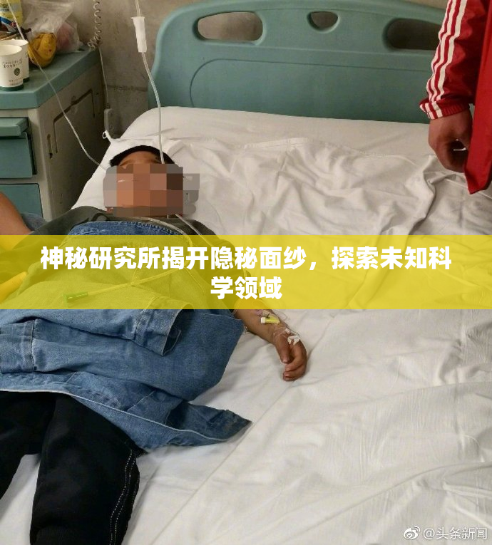 神秘研究所揭开隐秘面纱，探索未知科学领域