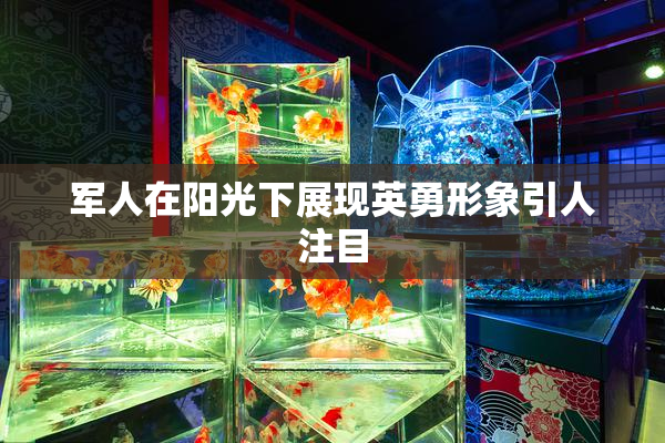 军人在阳光下展现英勇形象引人注目