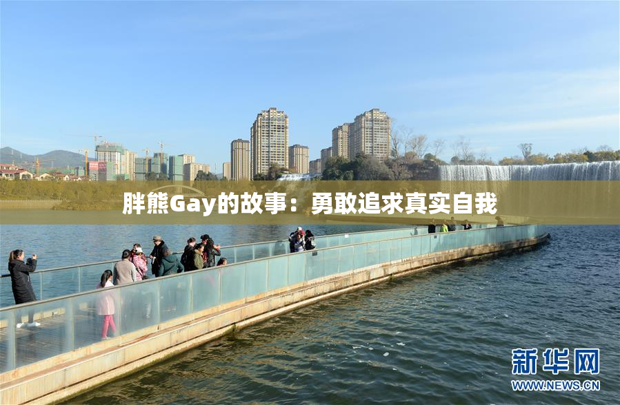 胖熊Gay的故事：勇敢追求真实自我